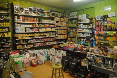 Dorada Sklep zoologiczny